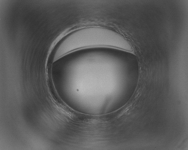 X0000053010246200507081029