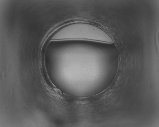 X0000053010247200507081029