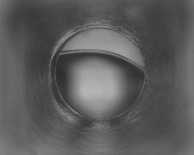 X0000053010248200507081029