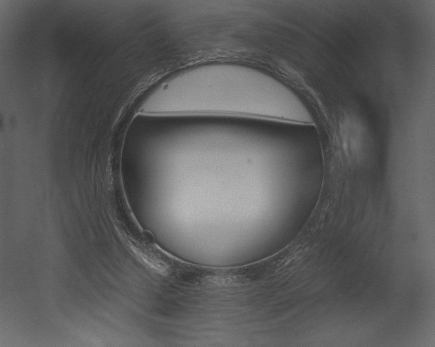 X0000053010250200507081029