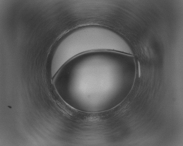 X0000053010252200507081029