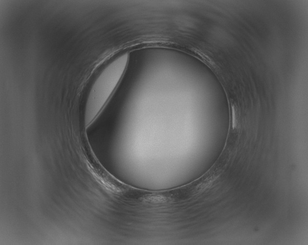 X0000053010253200507081029