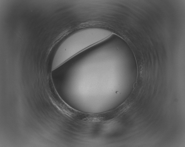 X0000053010254200507081029