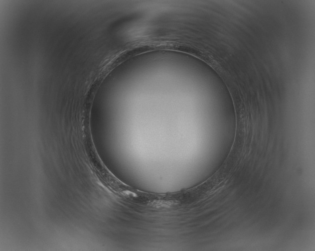 X0000053010255200507081029