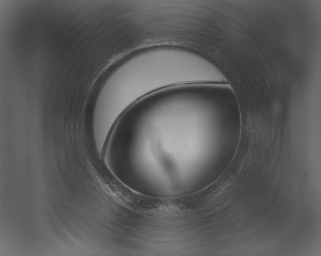 X0000053010256200507081029