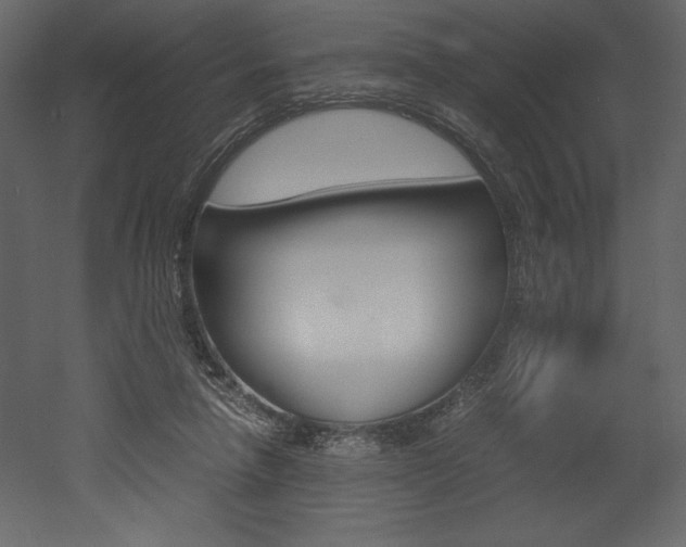 X0000053010258200507081029