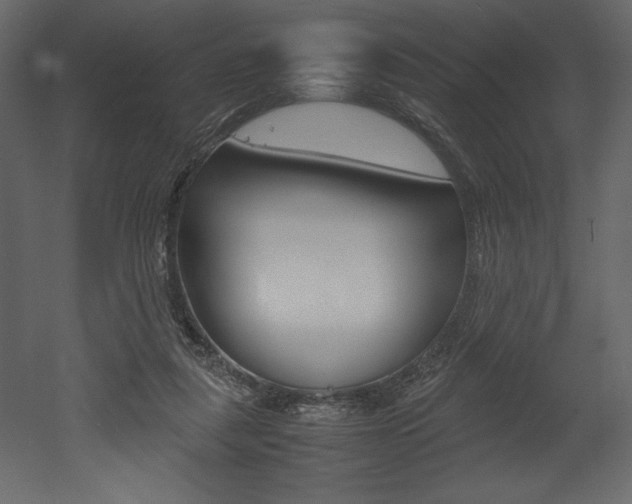 X0000053010259200507081029