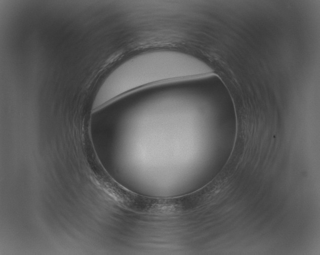 X0000053010260200507081029