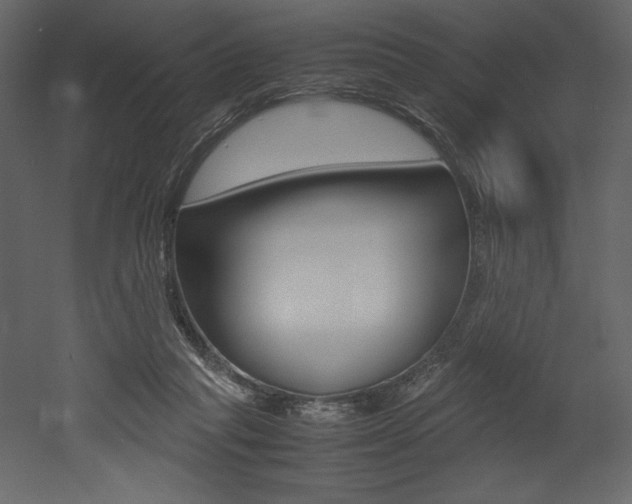 X0000053010261200507081029