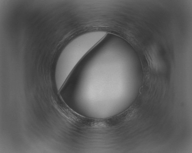 X0000053010262200507081029