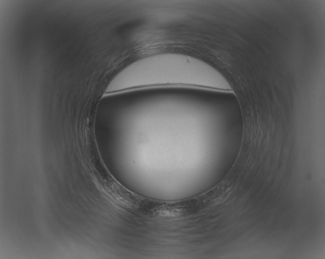 X0000053010263200507081029