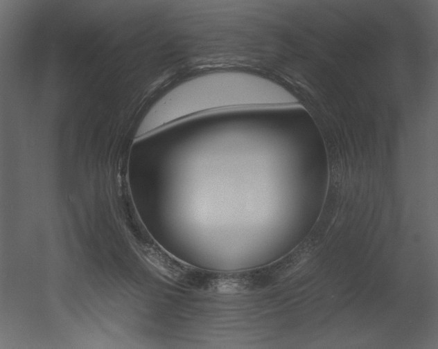 X0000053010264200507081029