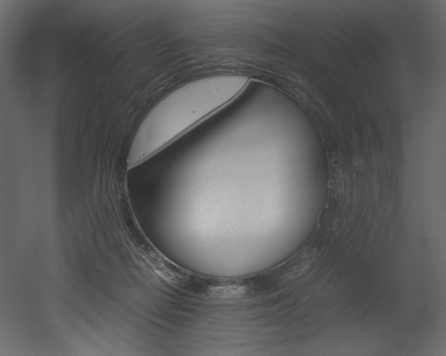 X0000053010266200507081029