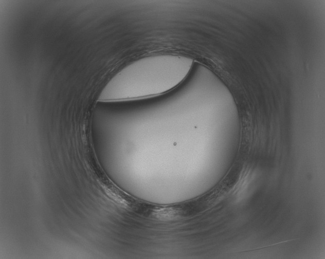 X0000053010269200507081029