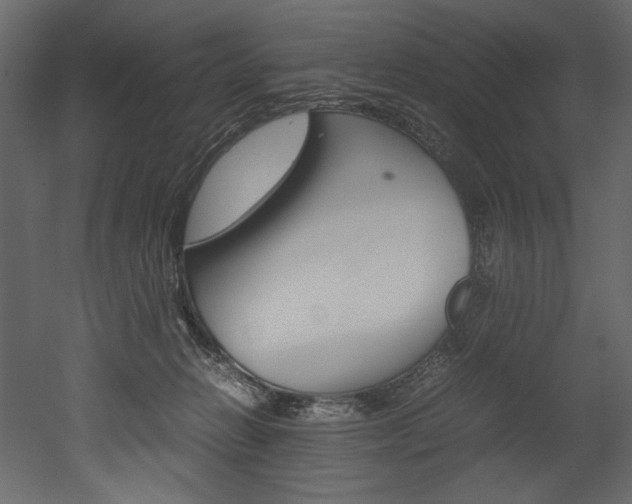 X0000053010270200507081029