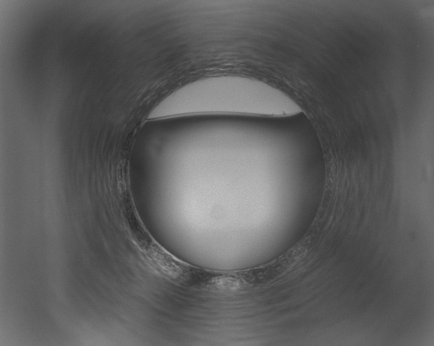 X0000053010272200507081029
