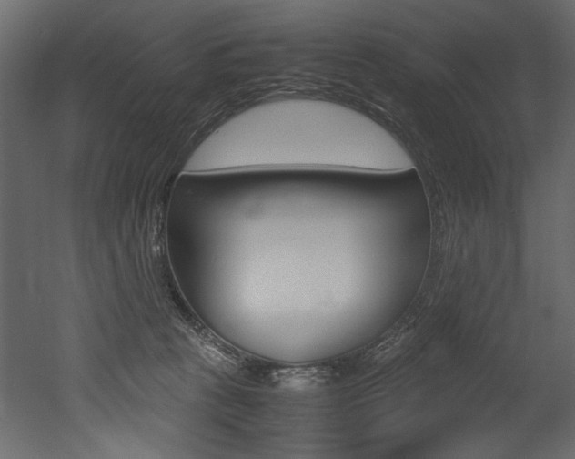 X0000053010273200507081029