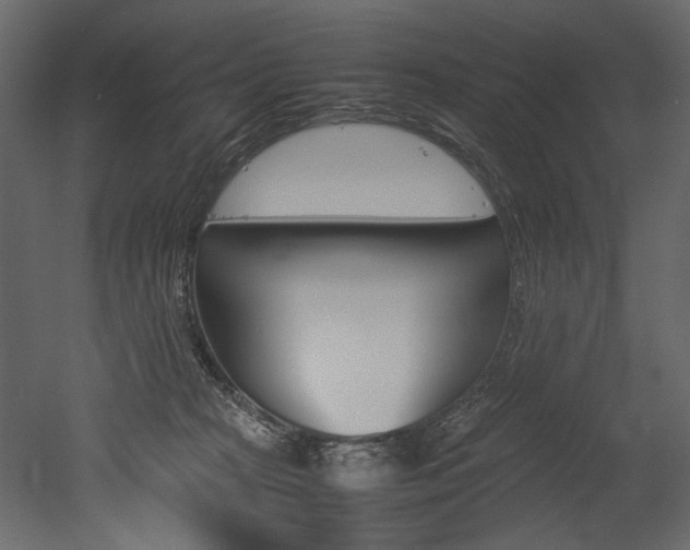 X0000053010277200507081029