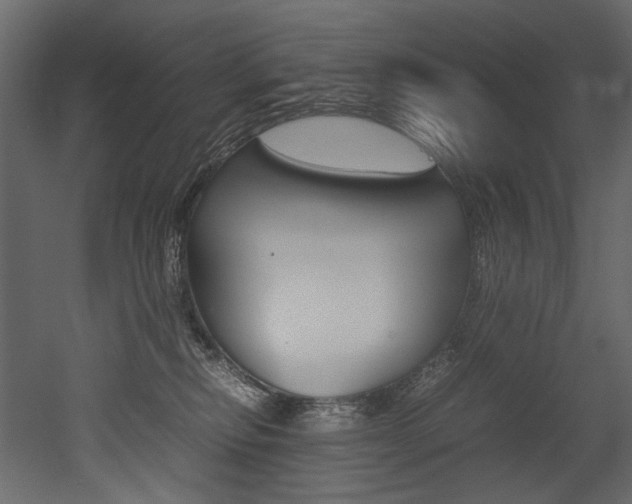 X0000053010278200507081029
