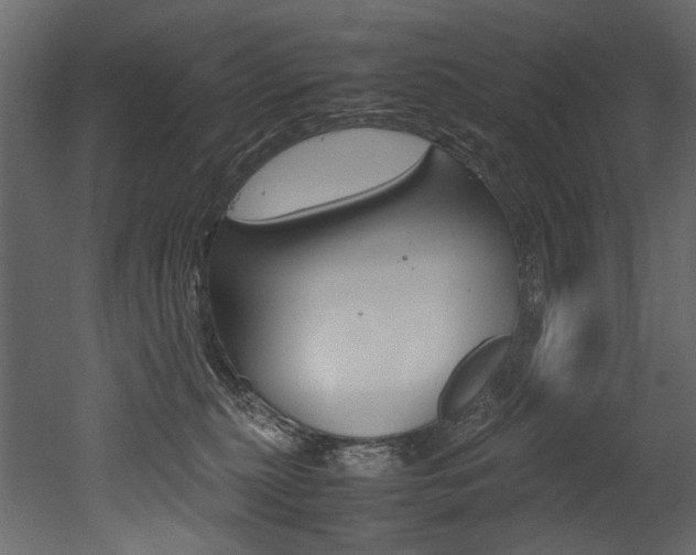 X0000053010279200507081029