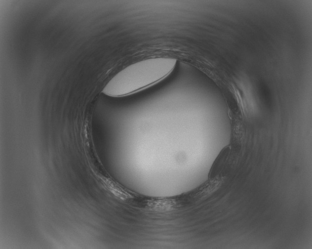 X0000053010282200507081029