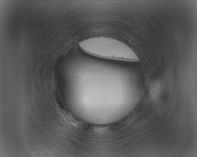 X0000053010283200507081029