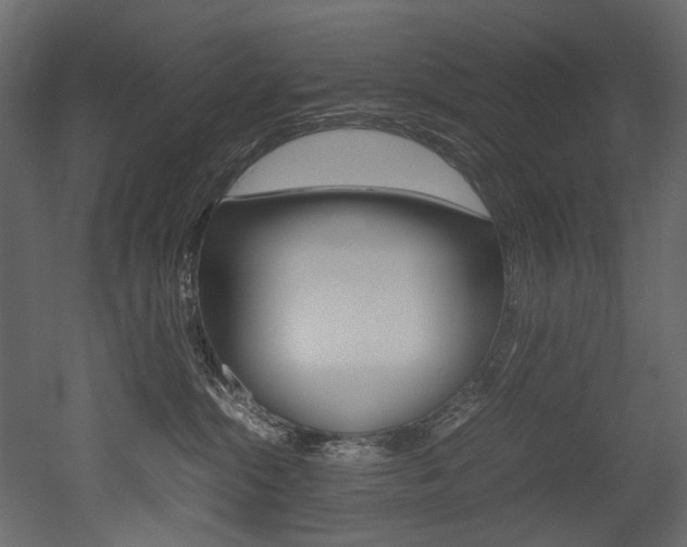 X0000053010284200507081029