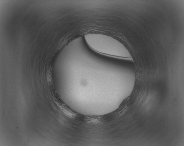 X0000053010285200507081029