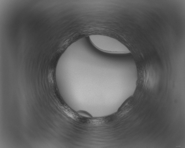 X0000053010286200507081029