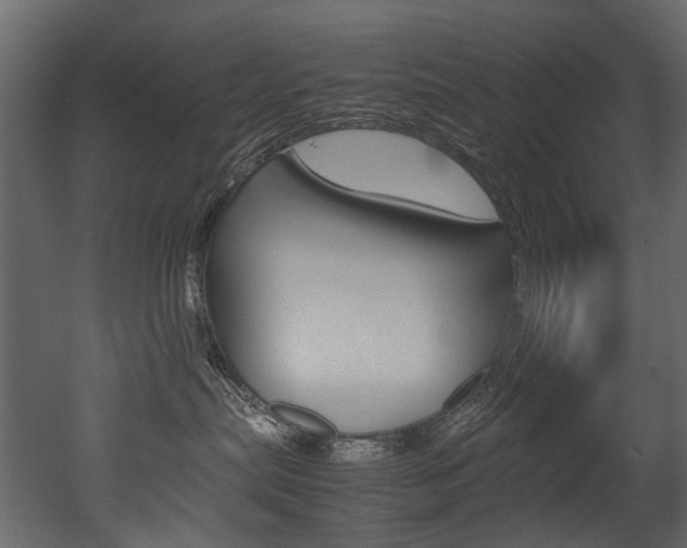 X0000053010287200507081029
