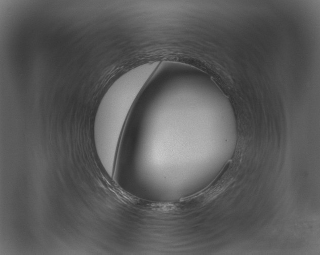 X0000053010288200507081029
