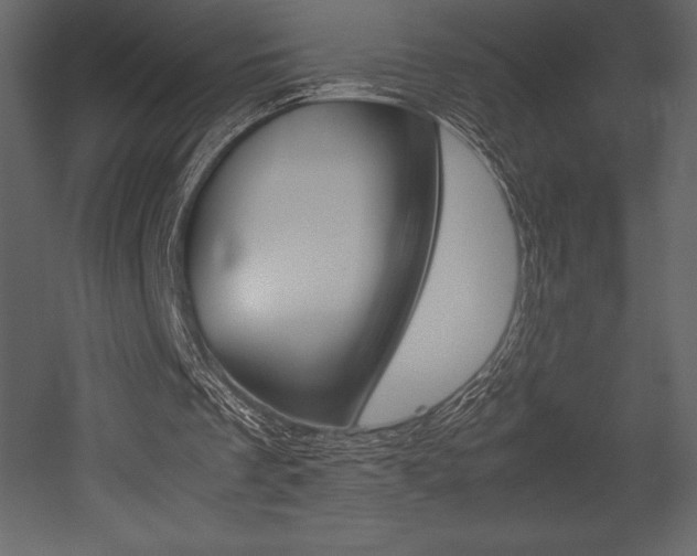 X0000053010289200507081029