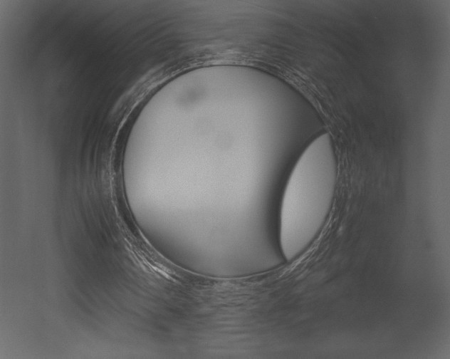 X0000053010290200507081029