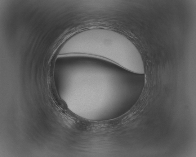 X0000053010291200507081028