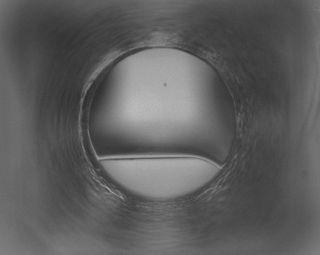 X0000053010292200507081028