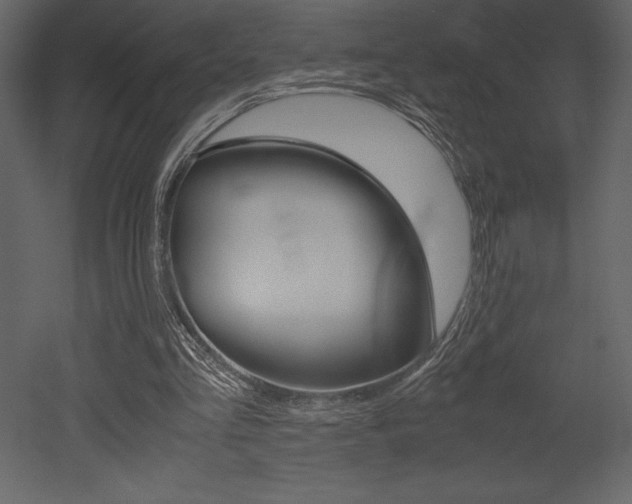 X0000053010293200507081028