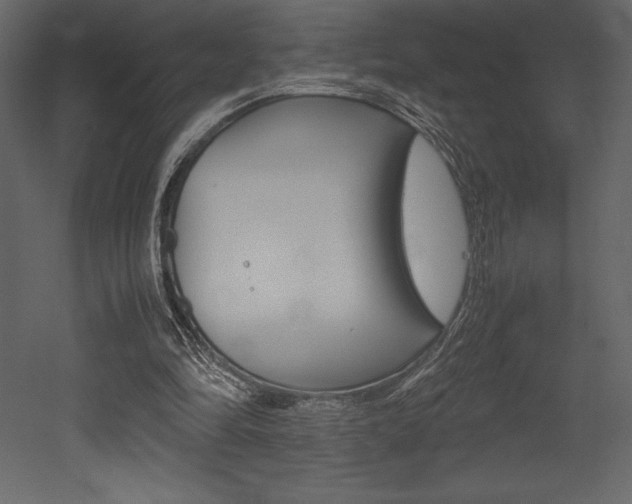 X0000053010294200507081028