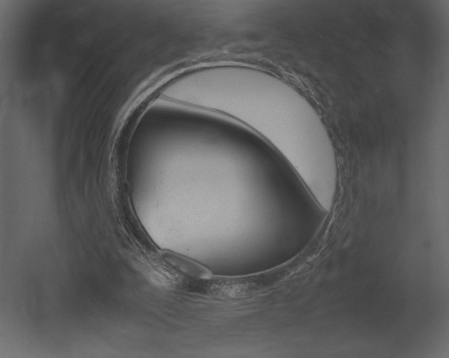 X0000053010295200507081028