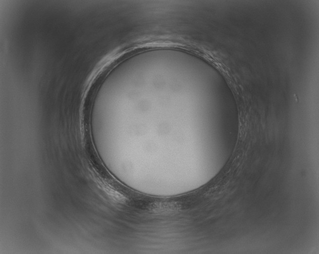 X0000053010296200507081028