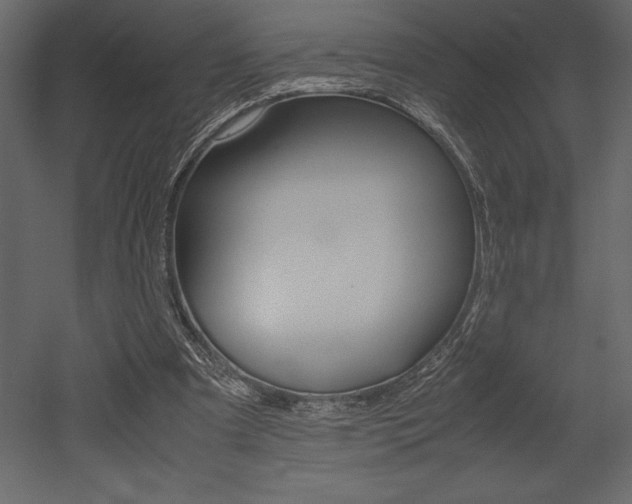 X0000053010297200507081028
