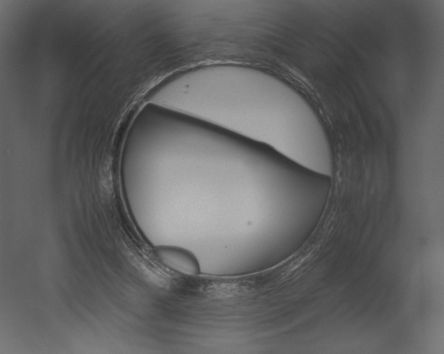 X0000053010298200507081028