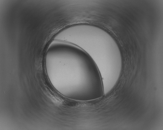 X0000053010299200507081028