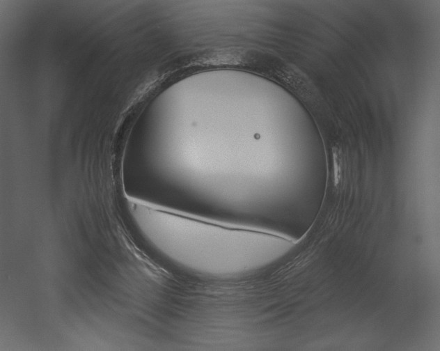 X0000053010300200507081028