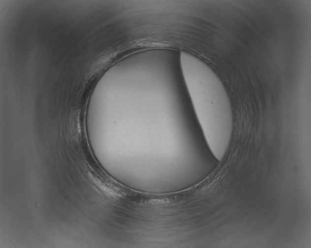 X0000053010302200507081028