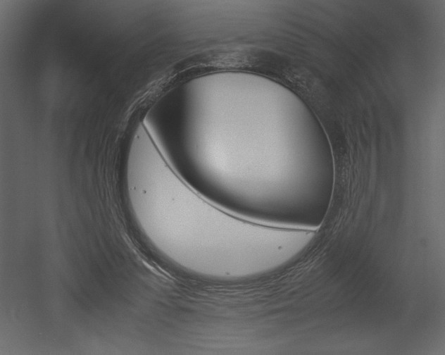 X0000053010303200507081028