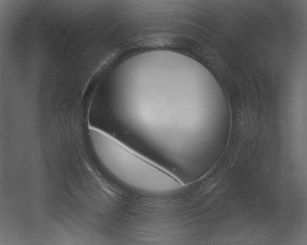 X0000053010304200507081028