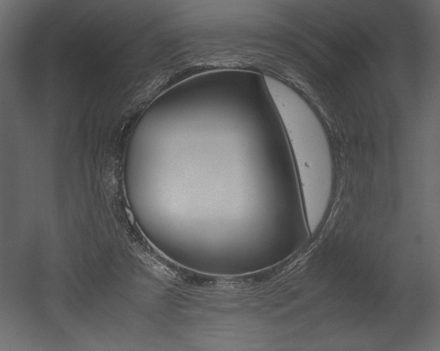 X0000053010305200507081028