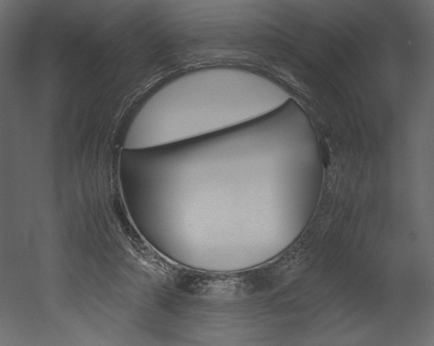 X0000053010306200507081028