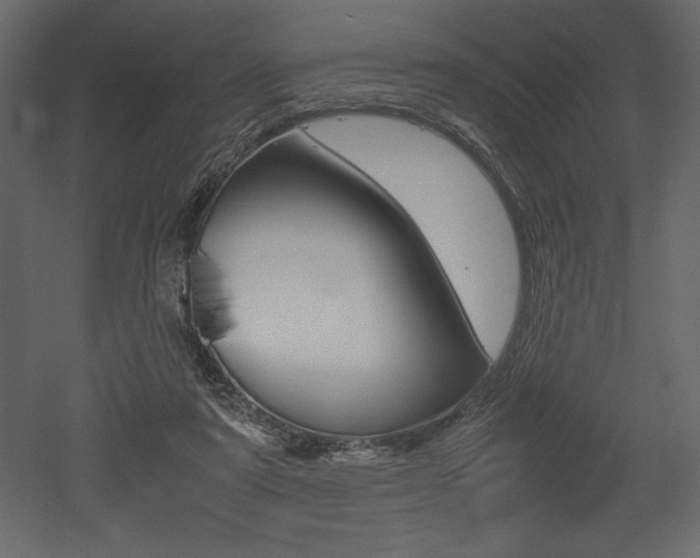 X0000053010307200507081028