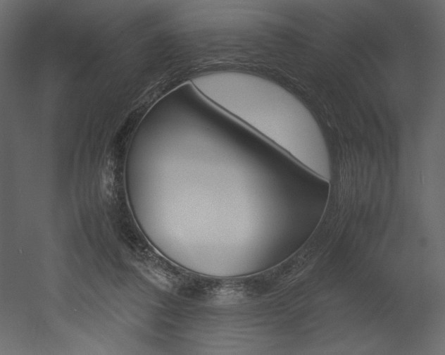 X0000053010308200507081028